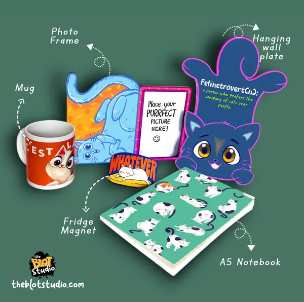 Multicolour_Mixed_Gift_Combo_For_Cat_Lovers