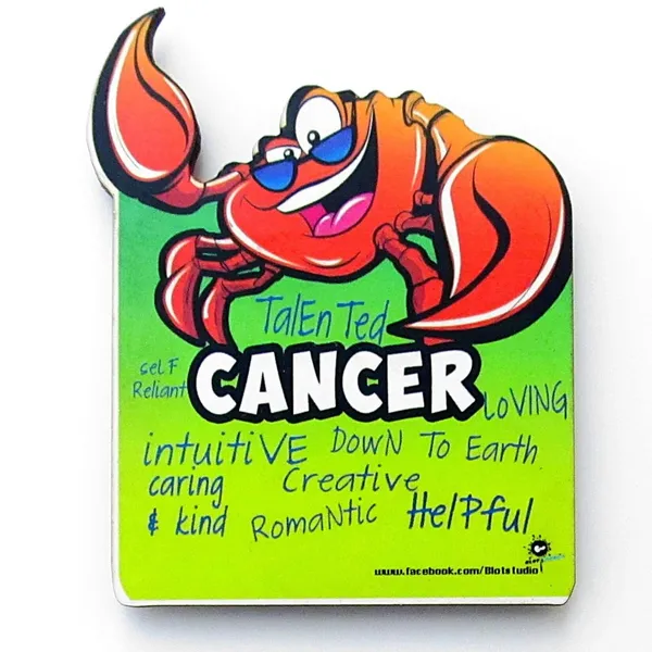 Multicolour_Fridge_Magnet_For_Zodiac_Fans
