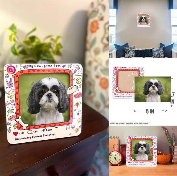 Multicolour_Mixed_Gift_Combo_For_Shih_Tzu_Lovers