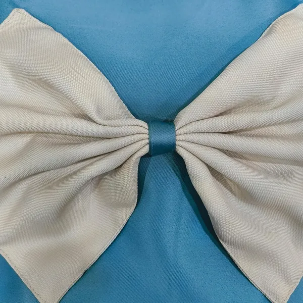 Blue_Set_Of_2_Decorative_Cushion_Cover_Square_Covers_|_For_Sofa_Couch_Pillow_And_Living_Room_Ethnic_Soft_And_Durable_|_For_Home_Festival_And_Bedroom_Decor_(Blue_Polka_Bow)_|_16_X_16_Inch