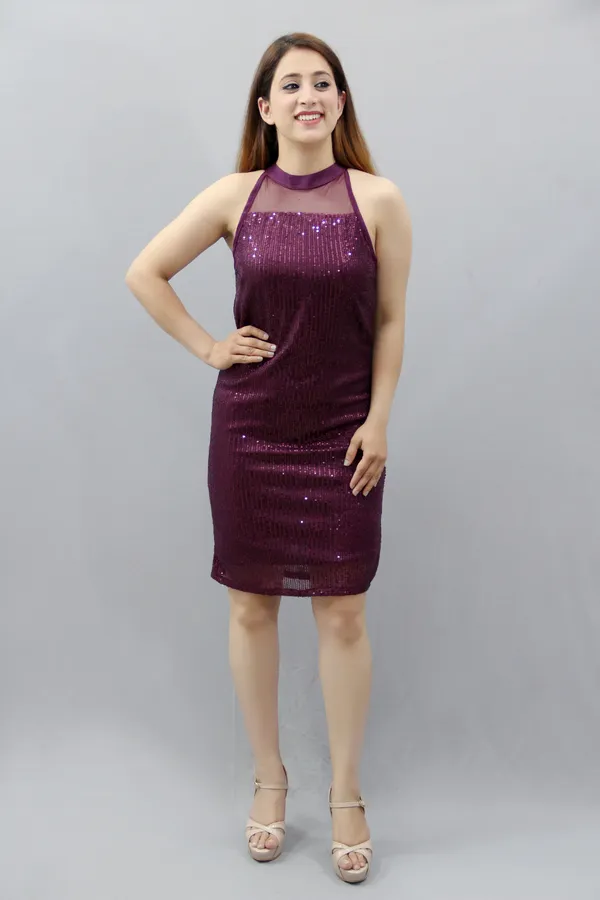 Women_Bodycon_Purple_Knee_Length_Dress