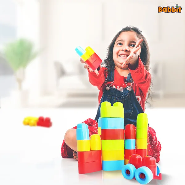 Bricks_Blocks_Building_Toy