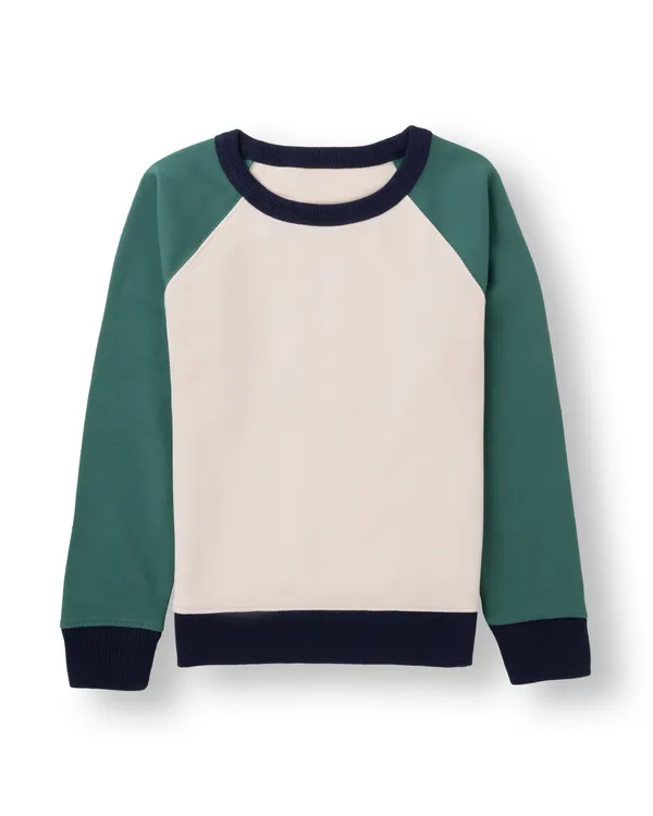 Green_Solid_Cotton_Terry_Casual_Sweat_Shirt_For_Unisex
