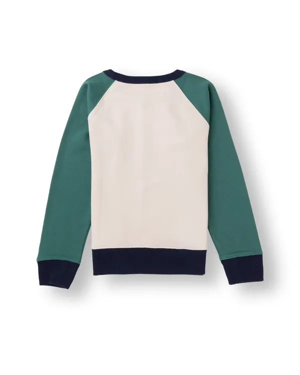 Green_Solid_Cotton_Terry_Casual_Sweat_Shirt_For_Unisex