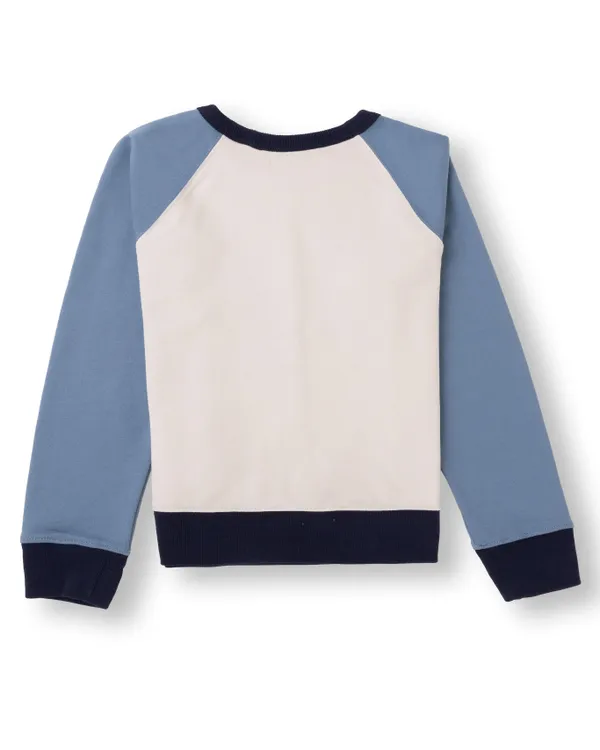 Blue_Solid_Cotton_Terry_Casual_Sweat_Shirt_For_Unisex