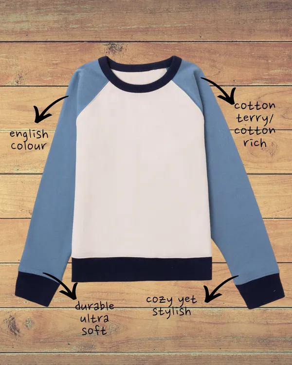 Blue_Solid_Cotton_Terry_Casual_Sweat_Shirt_For_Unisex