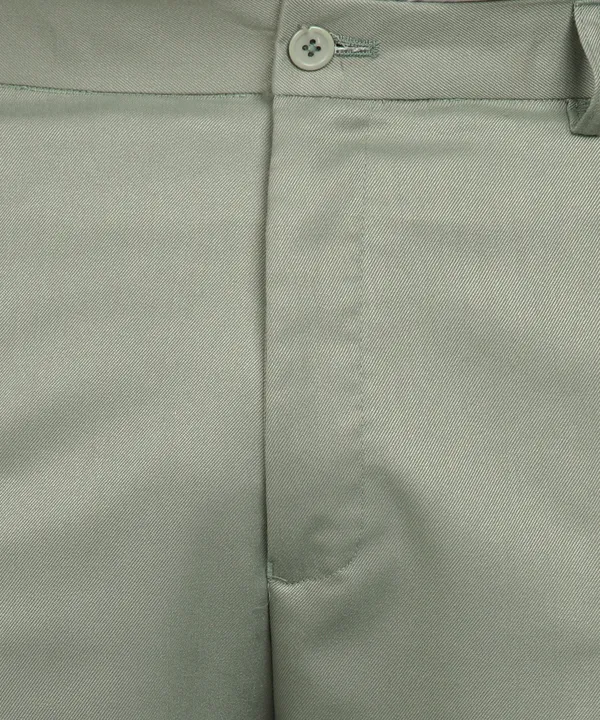 Light_Green_Poly_Viscose_Mid_Rise_Plus_Size_Straight_Fit_Formal_Trouser_For_Men