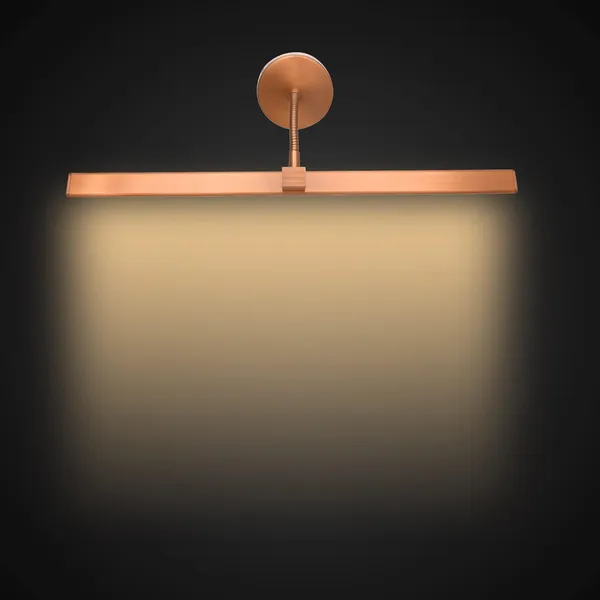 Tripping_12_Watt_3_In_1_Warm_White_White_Natural_White_Light_Led_Display_Adjustable_Up_N_Down_Curve_Flexible_Neck_Wall_Lamp_Picture_Mirror_Spot_Focus_Light_Three_In_One_Body_Color_12watt_Rose_Gold
