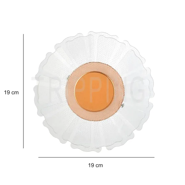 Tripping_7w_Led_Ceiling_Cum_Wall_Lamp_With_Frosted_Acrylic_Crisscross_Design_Warm_White_Light_Gold_Accent_19cm_Diameter_Ideal_For_Bedrooms_Living_Rooms_And_Hallways_Floral_Design