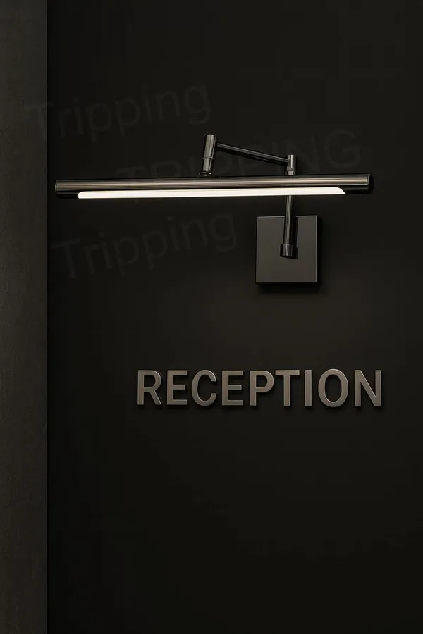 Tripping_12w_Black_Shine_Adjustable_Led_Picture_Wall_Lamp_3_In_1_Light_Color_Warm_White_Natural_Modern_Slim_Focus_Light_For_Bedroom_Living_Room_Hotel_Office_Lobby