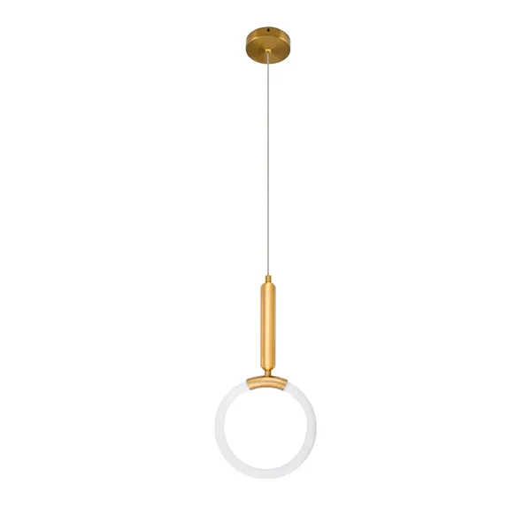 Gold_Decorative_10_Watt_Led_Round_Frame_Ceiling_Pendant_Lamp