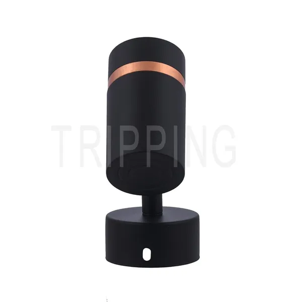 Black_&_Gold_Decorative_Adjustable_Design_Indoor_Wall_Spot_Light