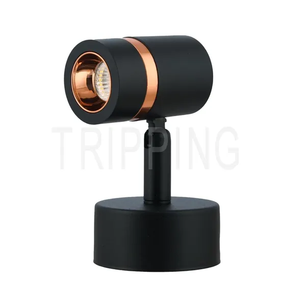 Black_&_Gold_Decorative_Adjustable_Design_Indoor_Wall_Spot_Light