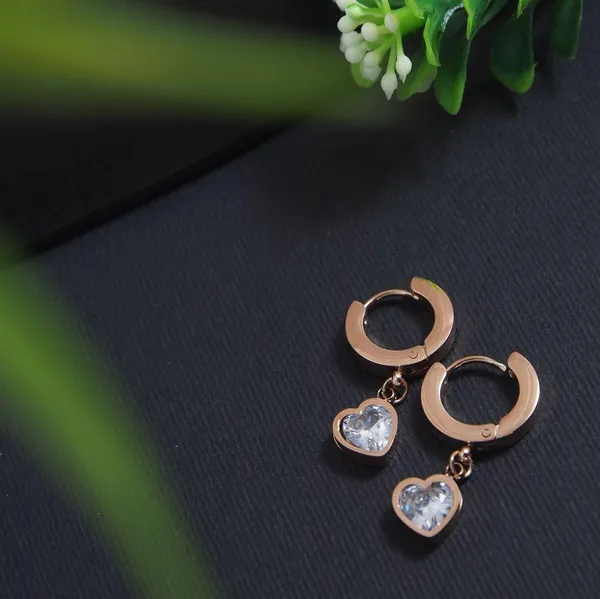 Stainless_Steel_Rosegold_Plated_Heart_Shaped_Hoops_Earring-STNER_2905_For_Women_&_Girls