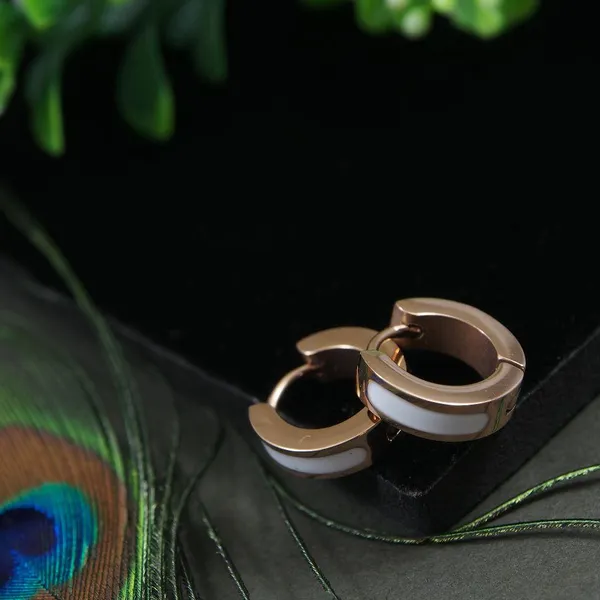 Stainless_Steel_Rosegold_Plated_Hoops_Earring-STNER_2892_For_Women_&_Girls