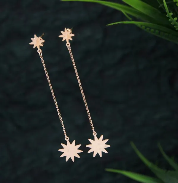 Stainless_Steel_Rosegold_Plated_Star_Shaped_Chain_Earring-STNER_2750_For_Women_&_Girls