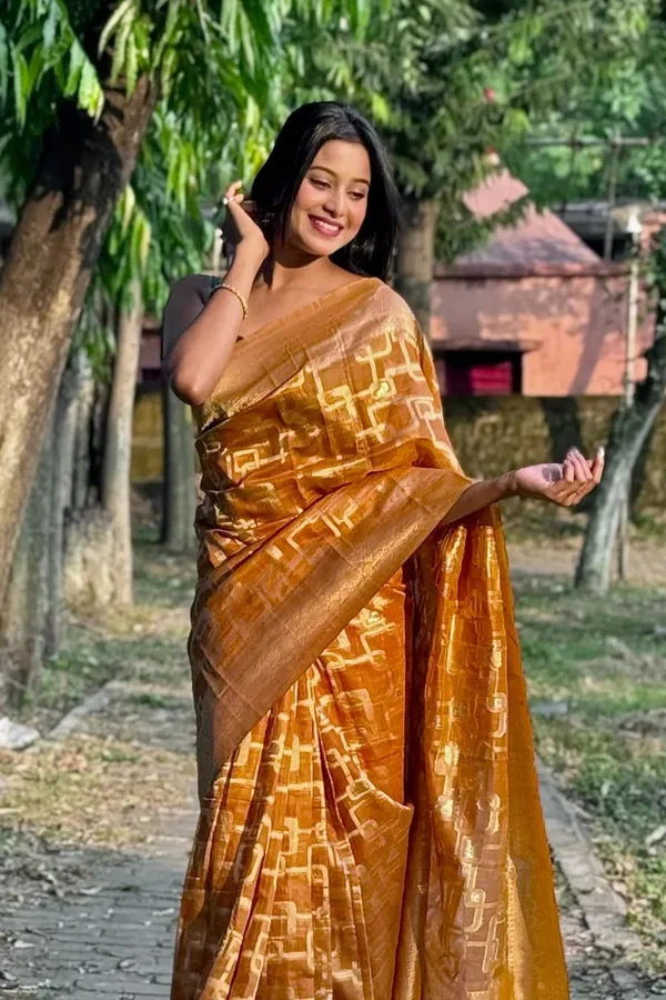 Premium_Banarasi_Silk_Chanderi_Saree