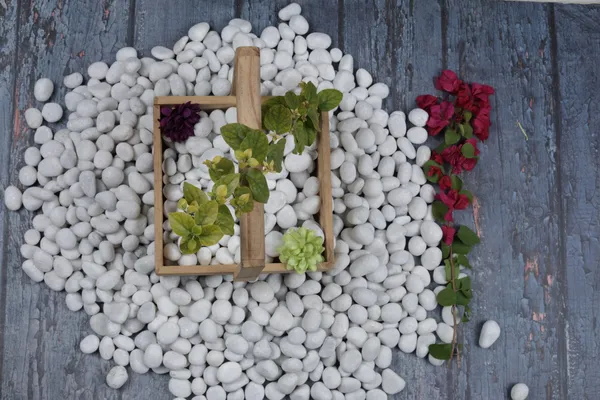 Crystal_White_Pebbles_-_XS_(1/2-1_inch)