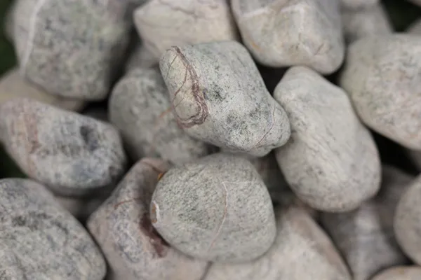 Rainforest_Green_Pebbles_-__M_(2-3_inch)