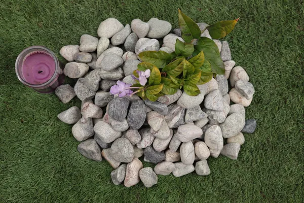 Rainforest_Green_Pebbles_-_S_(1-2_inch)