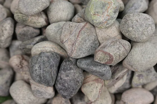 Rainforest_Green_Pebbles_-_S_(1-2_inch)