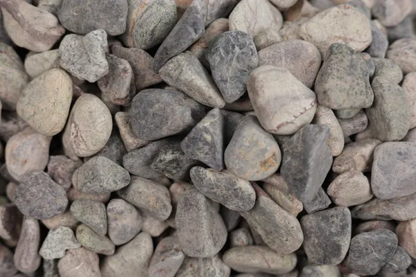 Rainforest_Green_Pebbles_-_XS_(1/2-1_inch)