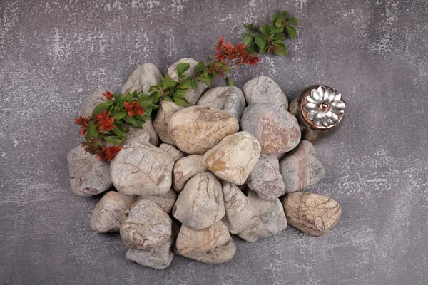 Rainforest_Brown__Pebbles_L_(3-5_inch)