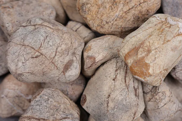 Rainforest_Brown__Pebbles_L_(3-5_inch)