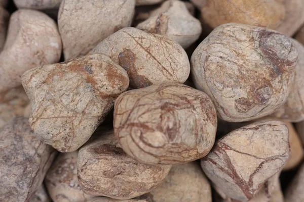 Rainforest_Brown_Pebbles_-_M_(2-3_inch)