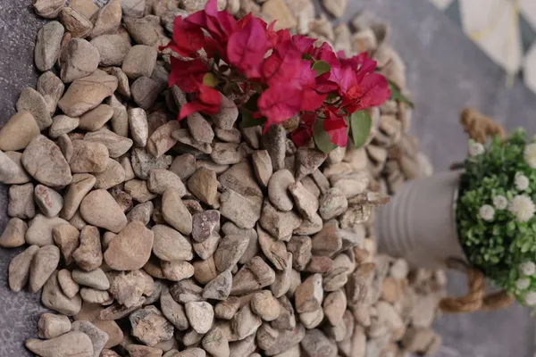 Rainforest_Brown_Pebbles_-_XS_(1/2-1_inch)
