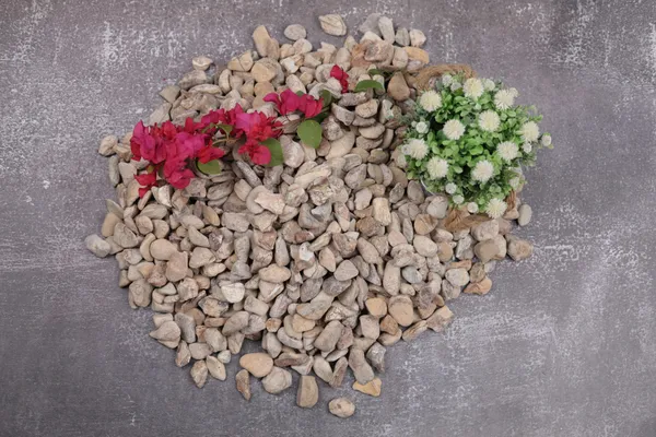 Rainforest_Brown_Pebbles_-_XS_(1/2-1_inch)