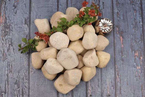 Divine_Gold_Pebbles_-_L_(3-5_inch)