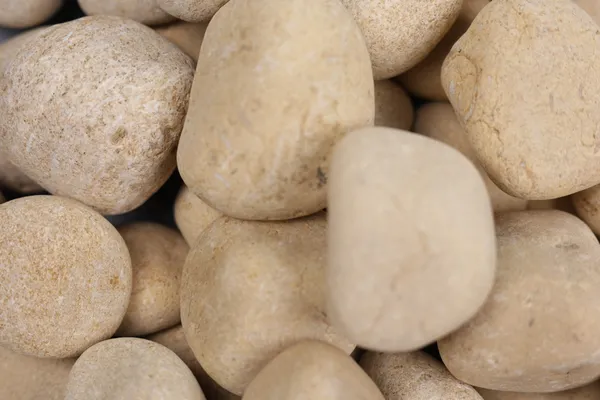 Divine_Gold_Pebbles_-_M_(2-3_inch)