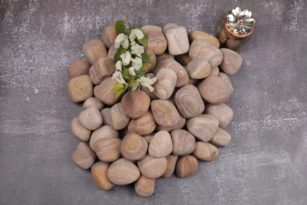 Rainbow_Pebbles_-_M_(2-3_inch)