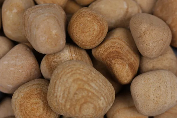 Golden_Teak_Pebbles_-_M_(2-3_inch)