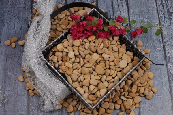 Golden_Teak_Pebbles_-_XS_(1/2-1_inch)