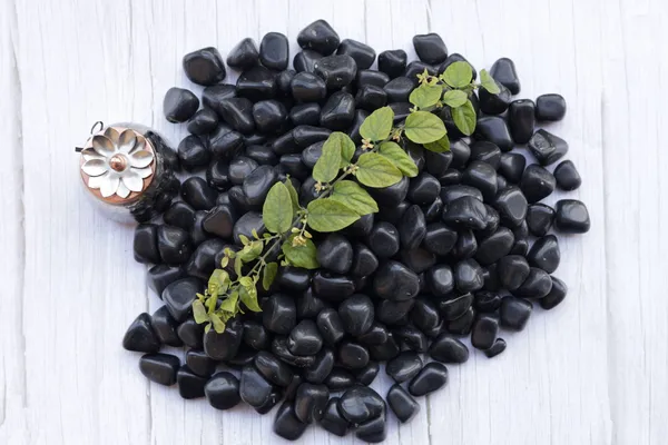 Jade_Black_Polished_Pebbles_-_S_(10-20_mm)