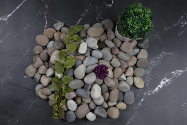 River_Pebbles_Rocks_for_Garden,_Landscaping,_Aquarium_and_Home_Decor_M_(2-3_inch)