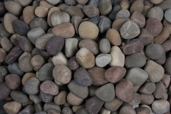 River_Pebbles_Rocks_for_Garden,_Landscaping,_Aquarium_and_Home_Decor_M_(2-3_inch)