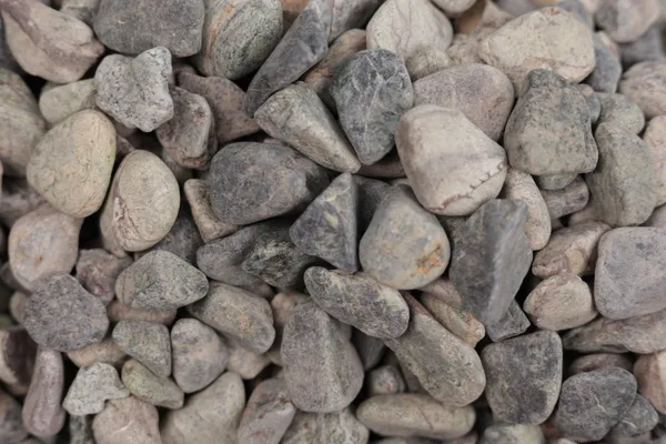 Rainforest_Green_Mixed_Sizes_Pebbles