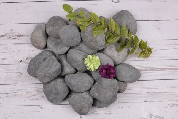 _Marine_Black_Pebbles_-__Large_size_-_3-5"