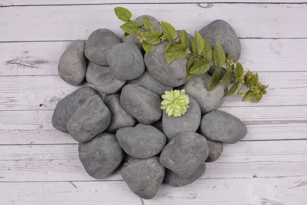 _Marine_Black_Pebbles_-__Large_size_-_3-5"