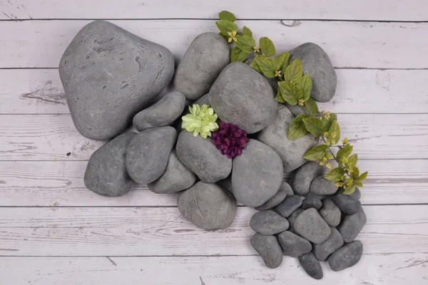 _Marine_Black_Pebbles_-__Large_size_-_3-5"