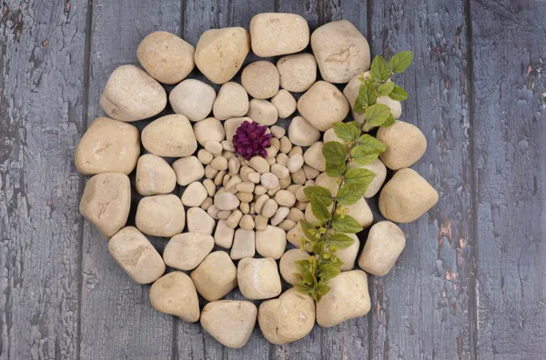 Divine_Gold_Mixed_Size_Pebbles