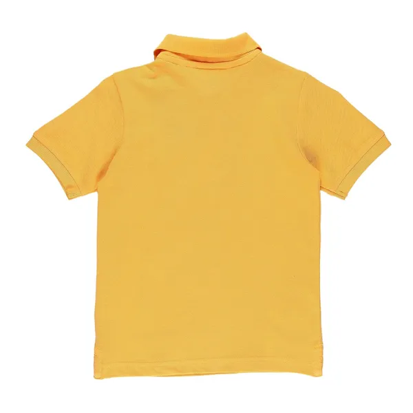 Radiant_Yellow_Solid_Polo_Collar_T-Shirt_For_Boys