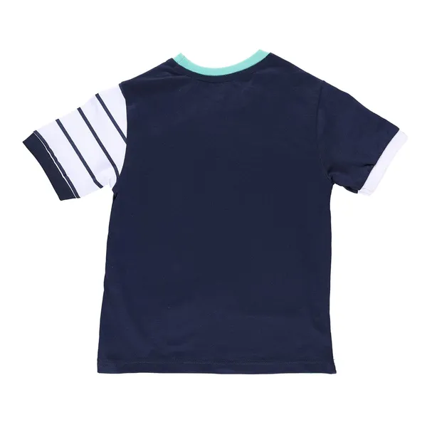 Multicolor_Striped_With_Text_Printed_Round_Neck_Half_Sleeve_T-Shirt_For_Boys