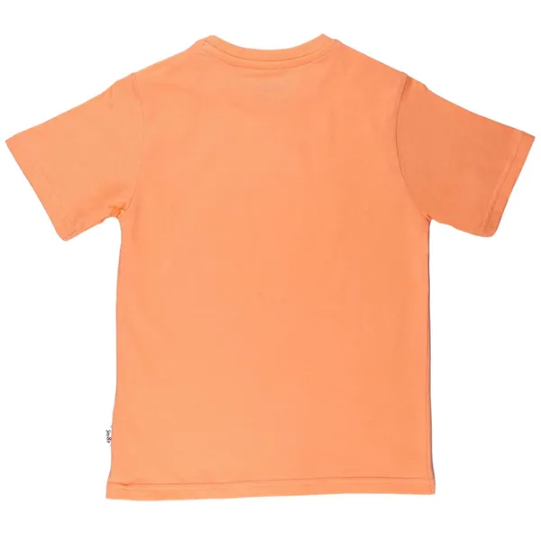 Orange_Round_Neck_Half_Sleev_T-Shirt_For_Boys