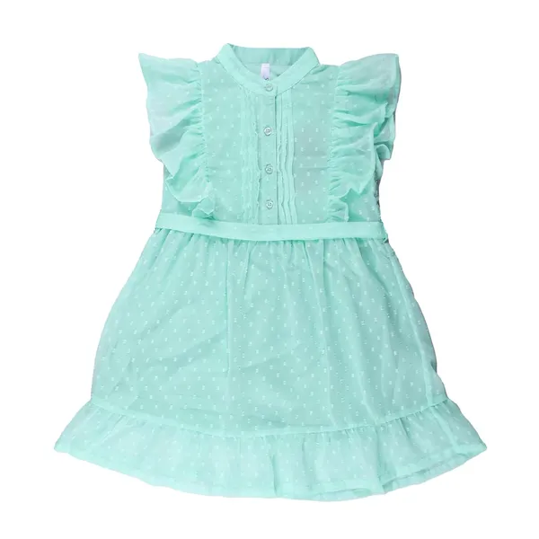 Light_Green_Fit_And_Flair_Dress_With_Belt_For_Girls