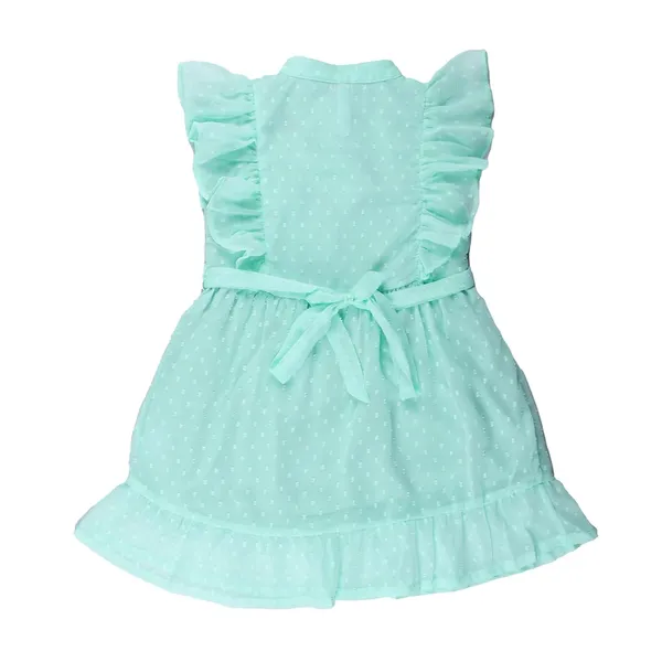 Light_Green_Fit_And_Flair_Dress_With_Belt_For_Girls