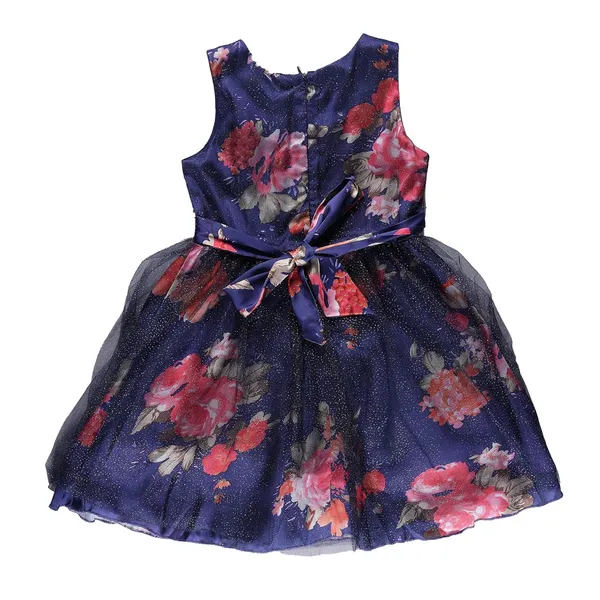 Blue_Flowers_Printed_Fit_And_Flair_Sleeveless_Dress_For_Girls